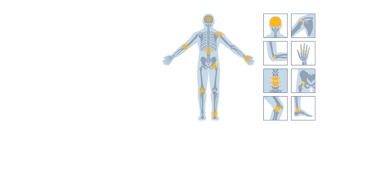 human body scheme