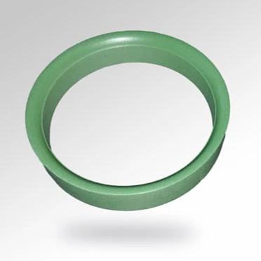 VICTREX CT 200 Ring