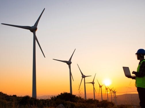 Man studying a wind turbine farm 