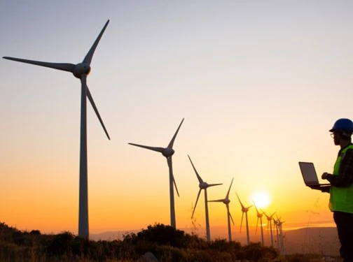 Man studying a wind turbine farm