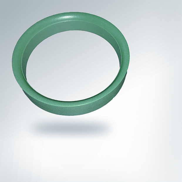 Victrex CT sealing ring