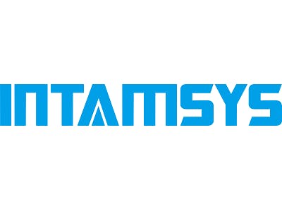 Intamsys