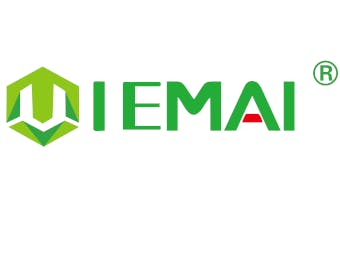 IEMAI Logo